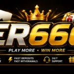 ER666 Game