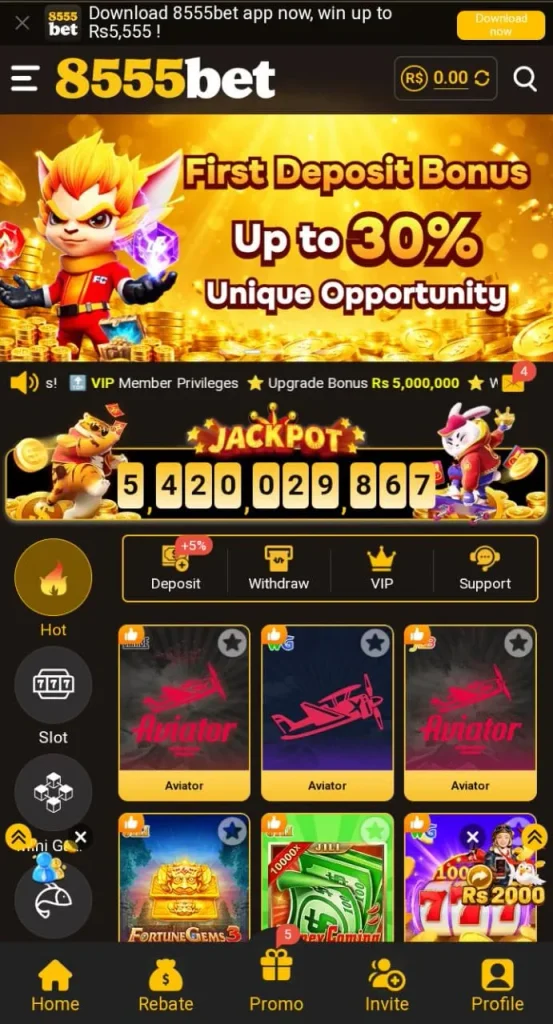 8555 Bet game interface and mobile gaming dashboard